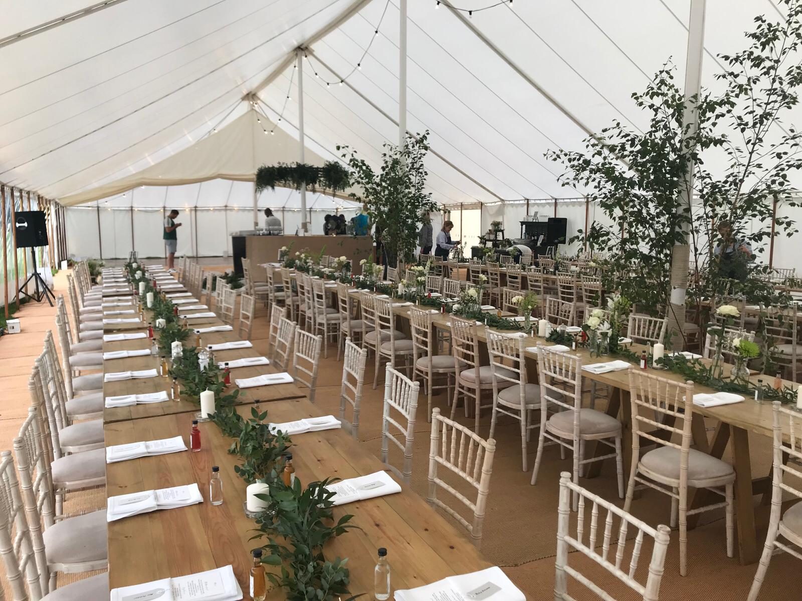 A marquee laid with long tables, birch trees and chiavari chairs ahead of a wedding reception.